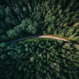 Imagem do WhatsApp de 2025-07-06 à(s) 20.26.33_a364f3bb