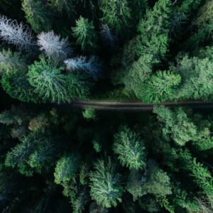 Imagem do WhatsApp de 2025-07-06 à(s) 20.26.33_c76a4fcd