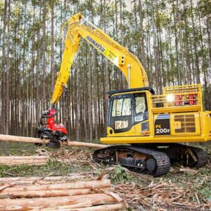 Imagem do WhatsApp de 2025-07-16 à(s) 15.38.36_a49210d3