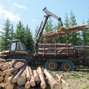 Imagem do WhatsApp de 2025-07-16 à(s) 15.38.39_3c936a1a