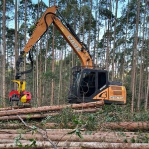 como-aumentar-a-produtividade-e-eficiencia-na-colheita-florestal