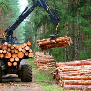 tipos-de-colheita-florestal-conheca-os-principais-metodos